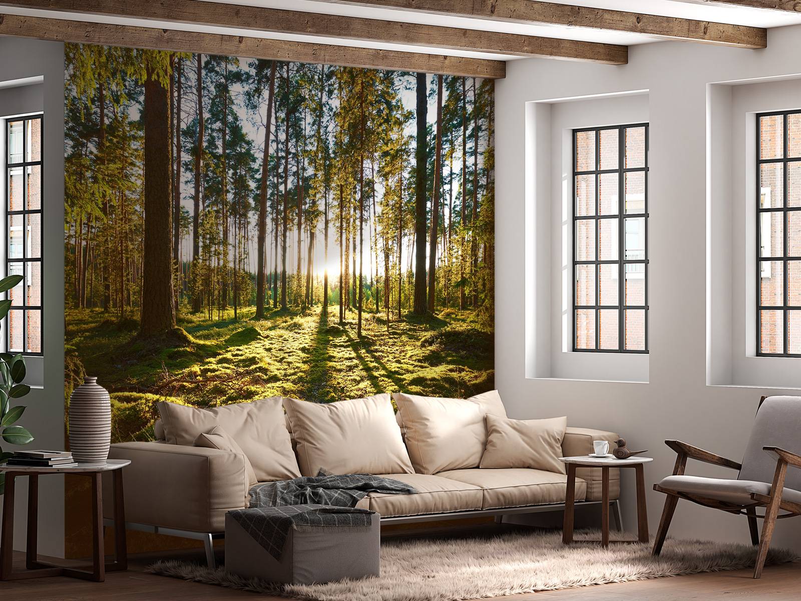 Papel Pintado - Bosque de pinos, image size:1600x1200