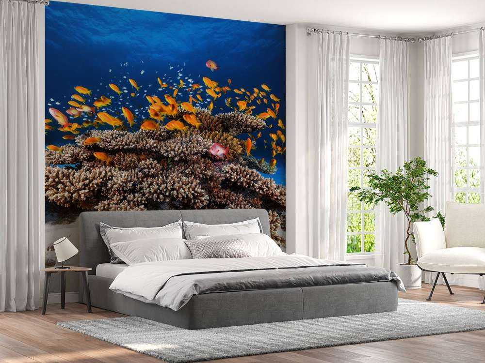 Marine Life
