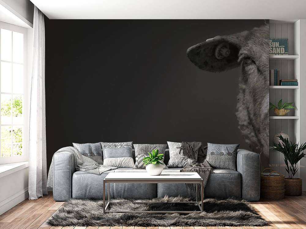 Primer plano de ovejas en blanco y negro