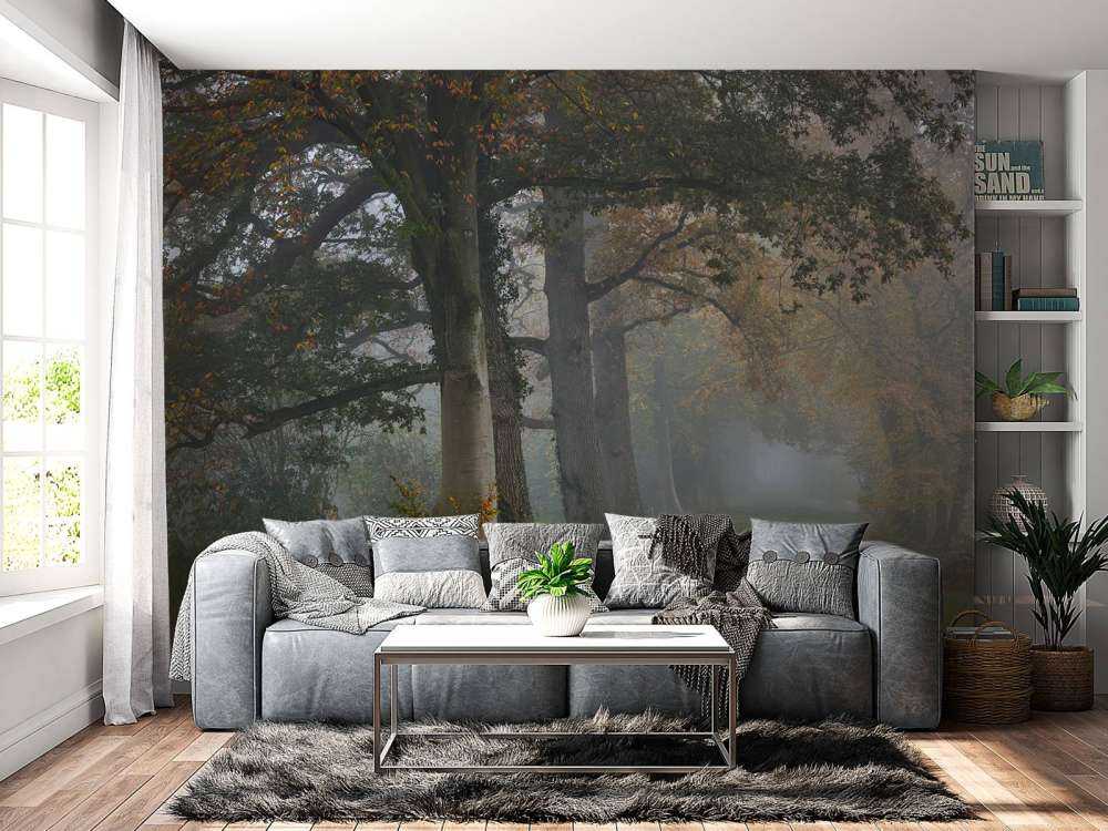 Carril con árboles en la niebla