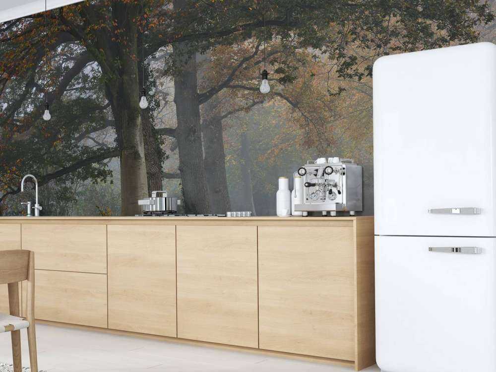 Carril con árboles en la niebla