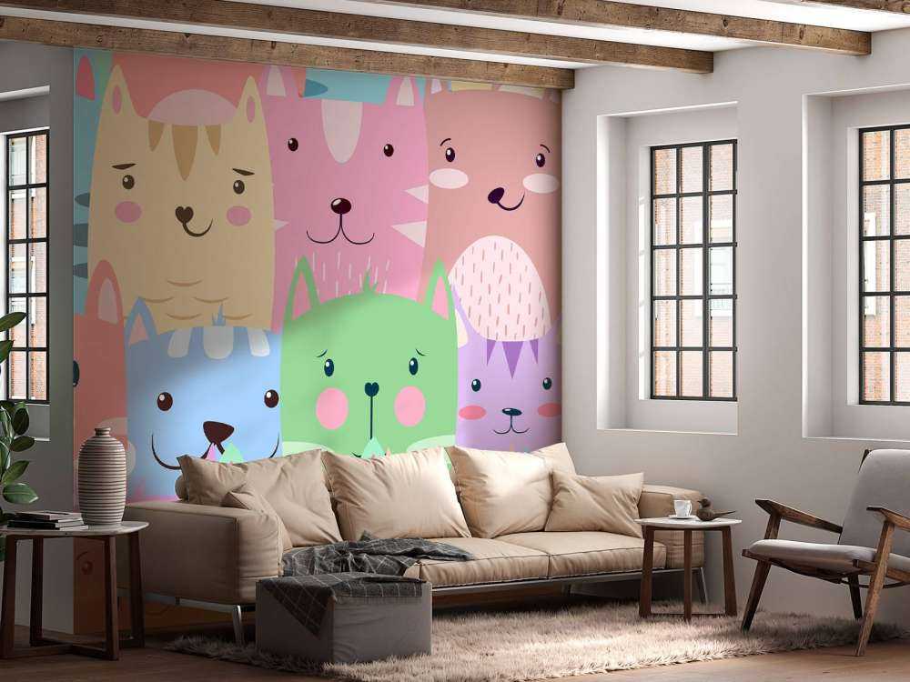 Gatos de colores