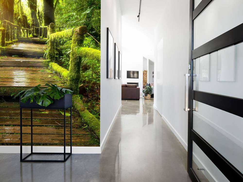 Grandes escaleras de la selva