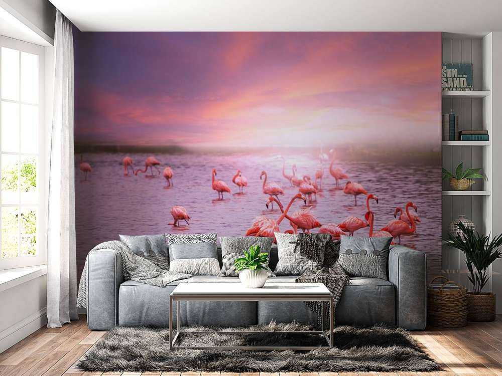 Flamencos con la puesta de sol