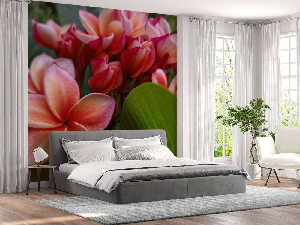 Flores tropicales