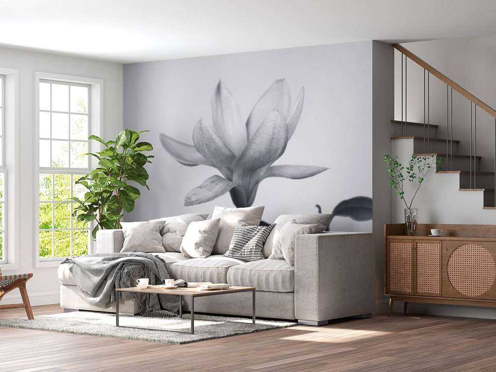 Hermosa magnolia