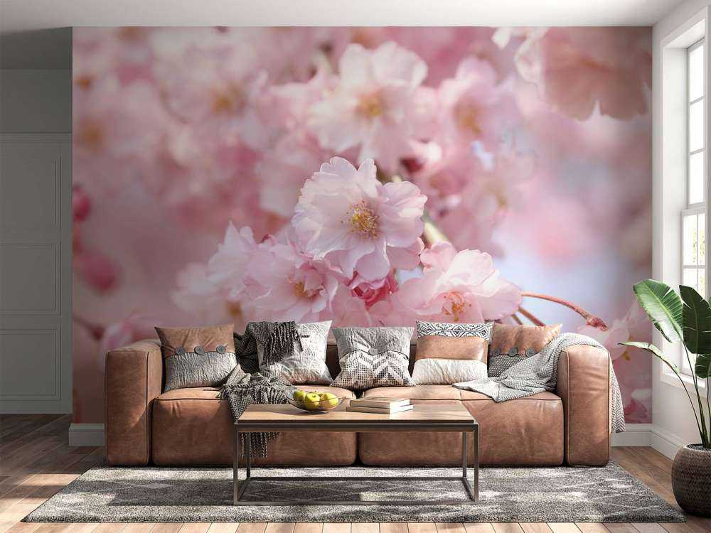 Primer plano de las flores rosas