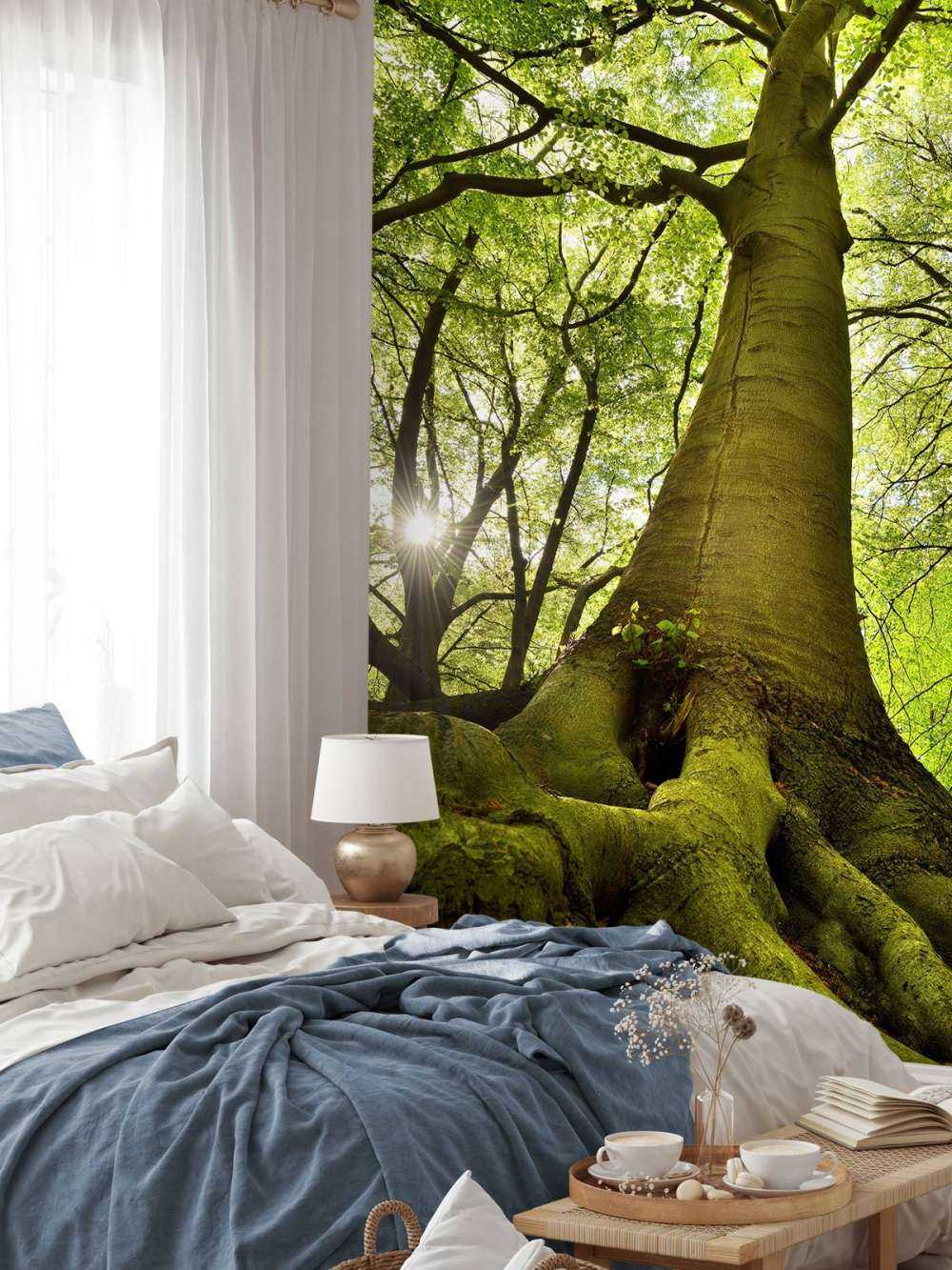 Árbol grande y raíces